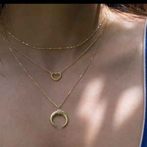 Rose Gold Crescent/Horn Necklace